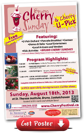 POSTER - View or Print - Bruno Cherry Sunday